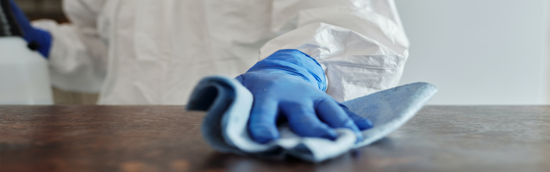 Heller, gepflegter Innenraum als Symbol für professionelle Reinigung